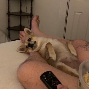 Meet your Posher, Ladonna